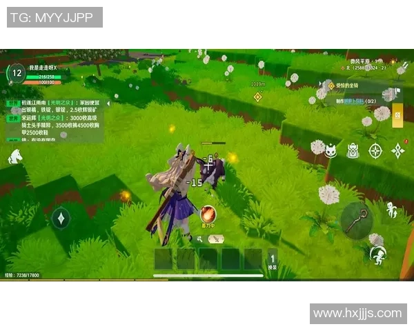 龙与家园时光全新锻造玩法深度解析与技巧分享